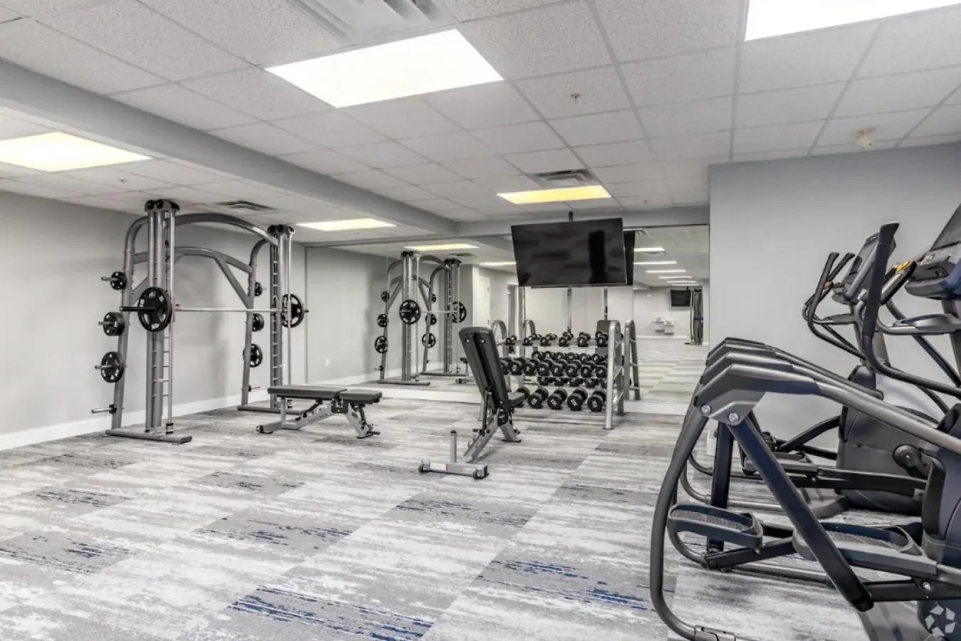 Midnight Marvel - Amazing City Views, Free Parking Charlotte 0*,  United States